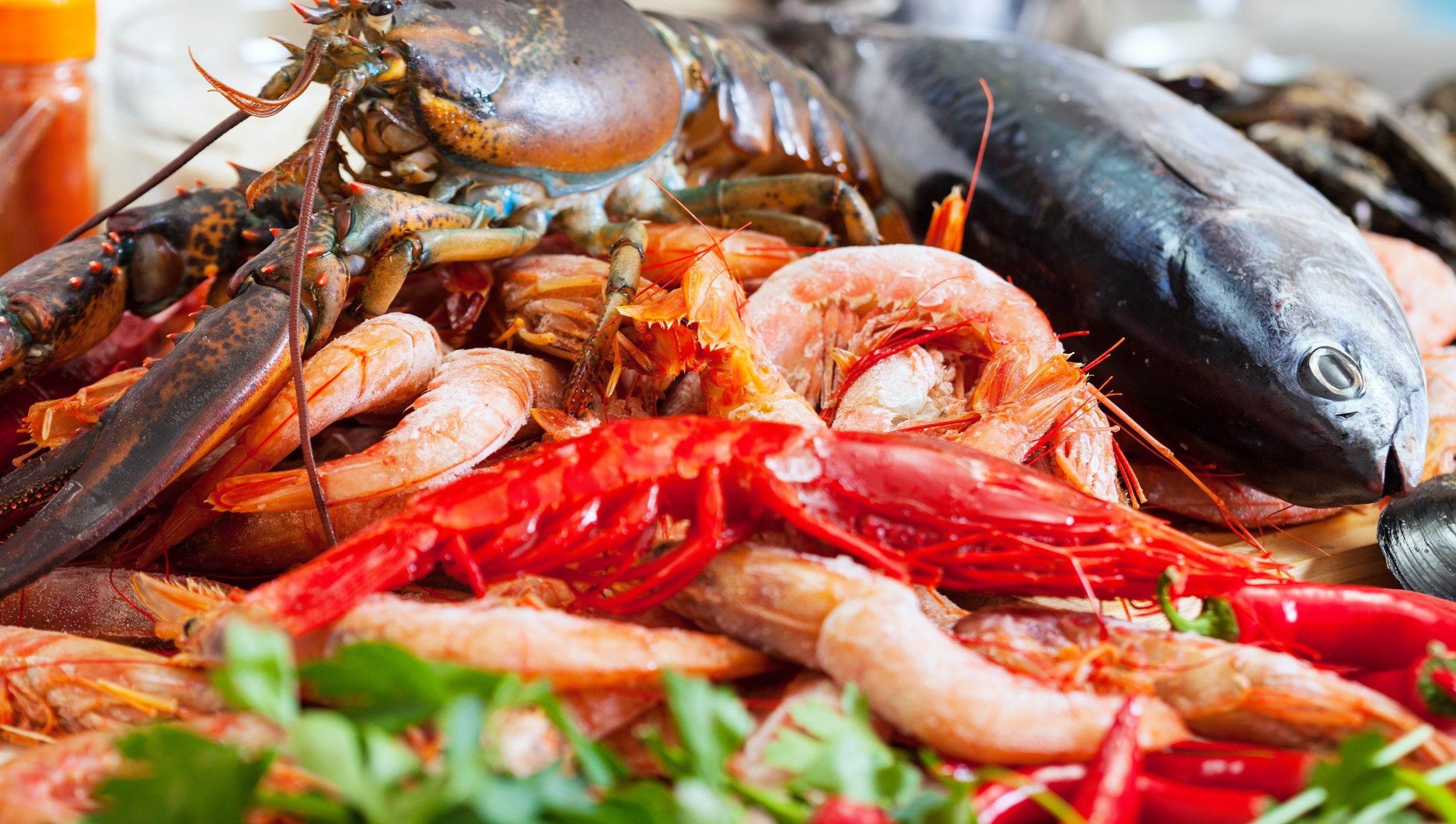 Still life with uncooked seafoods